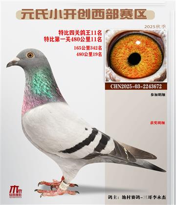 С_(ki)(chung)^(q)رP(gun)11