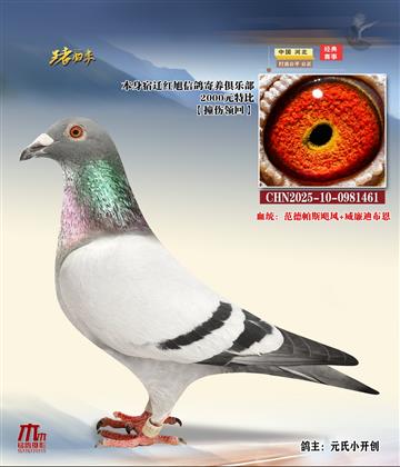 宿迁红旭特比CHN2025-10-0981461