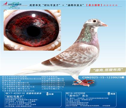 ]ǲˡüt̖(ho)ֱӡؠֱŮ