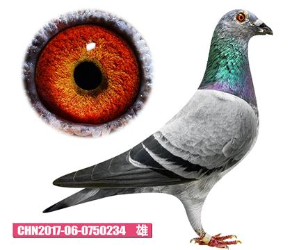 噶斯頓-魅影騎士234