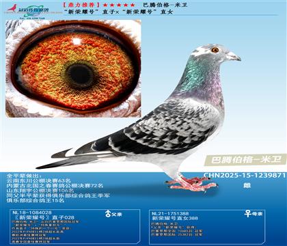 ] v-l(wi) sҫ̖(ho)ֱxֱŮ