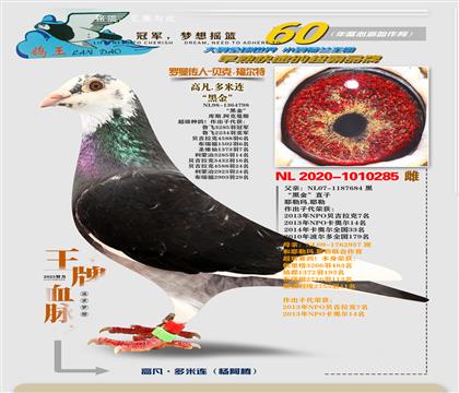 “黑金”直孫女