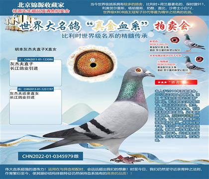 胡本灰杰夫直子X(jué)直女22-0345979雄