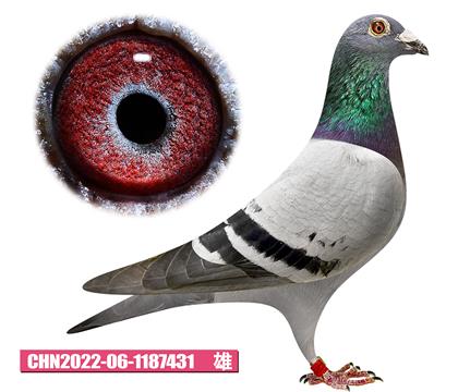 噶斯頓-奶酪先生431