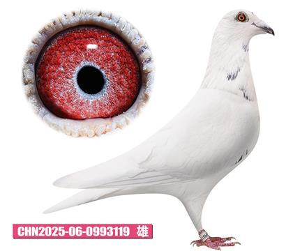 克拉森-年輕克拉克119