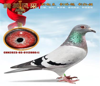 ǲ006O䷮ǲ˺üt̖(ho)