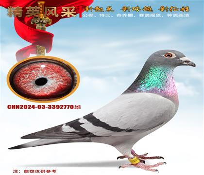 ?sh)ֱOW̖(ho)4545