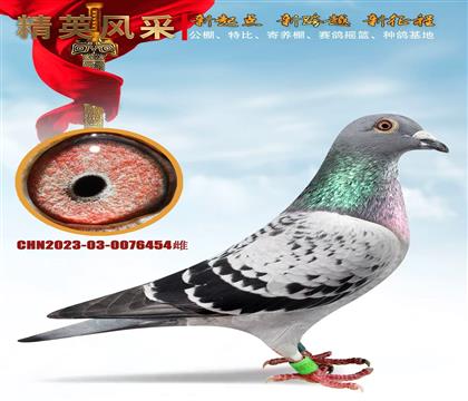 رȭh(hun)P(gun)ɿ(j)