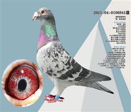 楊孫代血系 新羅西曾孫代