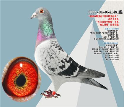 超級喬斯直孫X博爾特直孫女 桑杰士 晚生湯姆近親