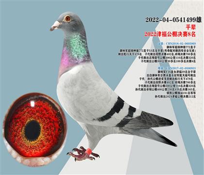 御林軍超級種雄772直子X津福39名全平輩