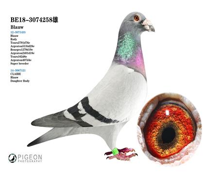 蓋比.凡得那比 雙重魯?shù)匣匮? width=