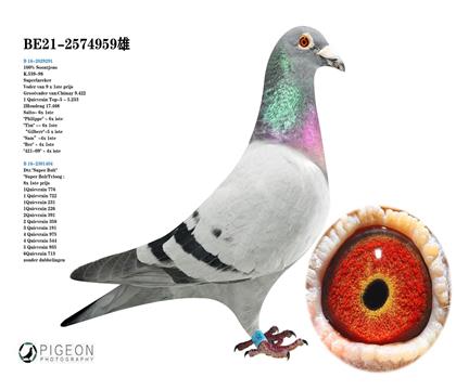 威力.艾佛拉特原舍 桑杰士