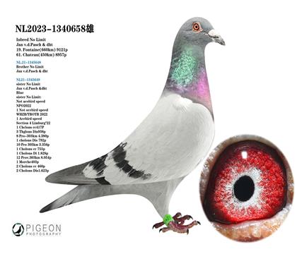 無限號回血 楊.范德帕斯父女