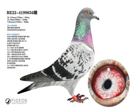 保時捷911雙重回血