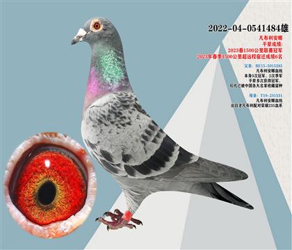 凡布利安娜回血