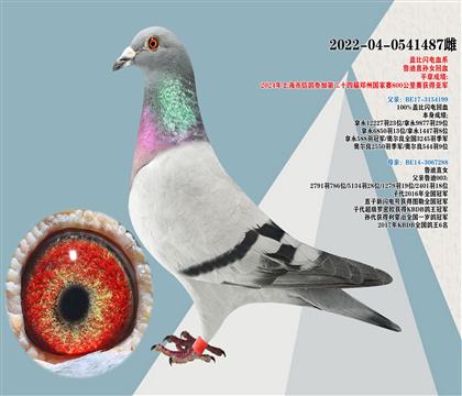 蓋比閃電血系 魯?shù)现睂O女回血