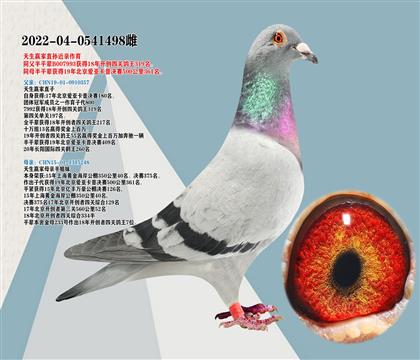 天生贏家直系 近親作育