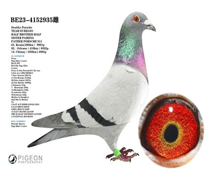 保時捷911雙重回血