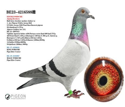 保時捷911直子X直女