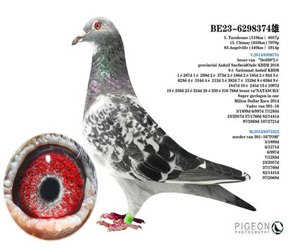 利奧.賀爾曼斯原舍 利奧傳奇030全兄弟