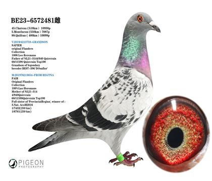 利奧.賀爾曼斯原舍