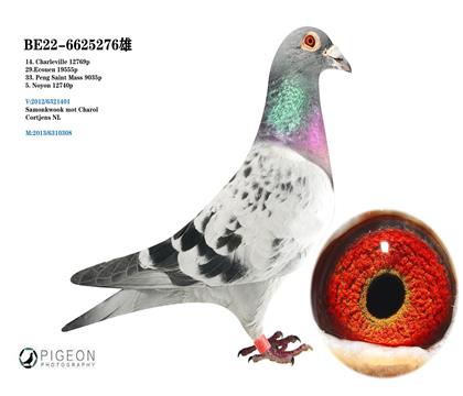 利奧.賀爾曼斯原舍