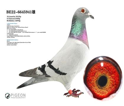 基特爾直子X比爾直女 迪克.范登布克原舍