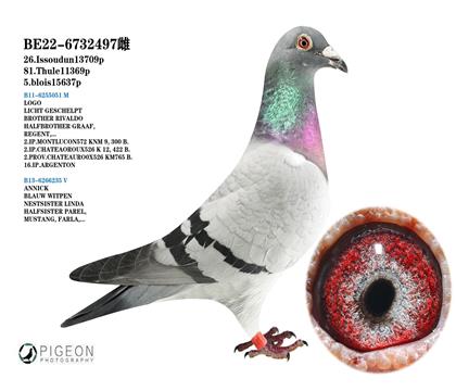 胡本原舍 年輕藝術(shù)家近親回血