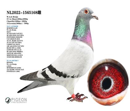 墨菲定律X羅莎達 威廉.狄布恩原舍