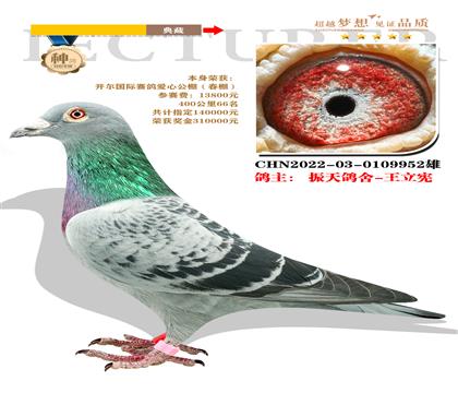 本身榮獲:開爾國際賽鴿愛心公棚400公里66名