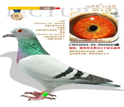 御林軍神領隊 ”御林軍總教頭X十冠王血系“作育