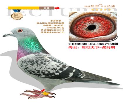 龍行天下-張向明選送 唐山陽光公棚 本身400公里109名