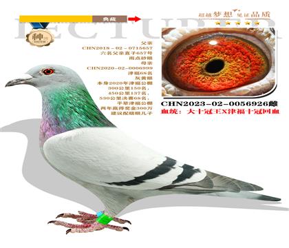 御林軍神領隊 大十冠王X津福十冠回血”作育