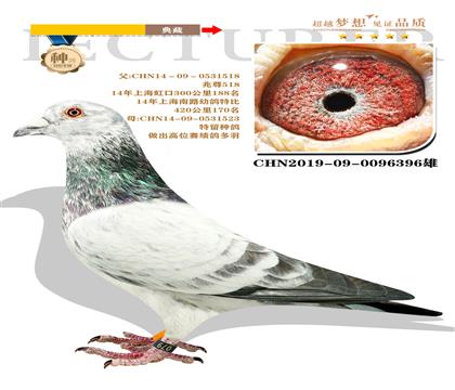 上海兆尊館作育”兆尊518