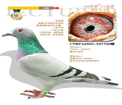 臺(tái)灣黃肆烔作出”桑杰士近親“本身榮獲五關(guān)綜合季軍