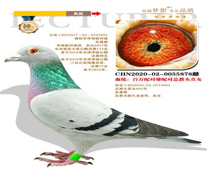 御林軍神領(lǐng)隊(duì) “百萬配對(duì)雄配對(duì)總教頭直女”作出