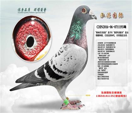 Wƥ003ֱX(mng)䌦(du)ֱŮ