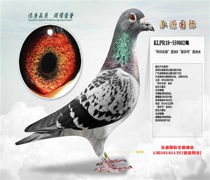 _(ti)RGҰ  o(w)ֱOX̖(ho)ֱOŮ