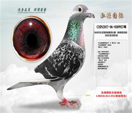 Qِ182 ^ϯS˹ءֱOŮ