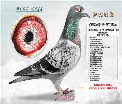 Wƥ003ֱX(mng)䌦(du)ֱŮ