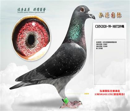 L(zhng)(yng)(gu)Hِ㘷ِ