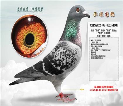 wȡ?sh)ϡOX?sh)ϡֱOŮ