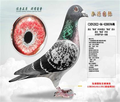 wȡ?sh)ϡOXwȡ?sh)ϡֱ? width=