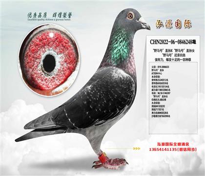 ҰR̖(ho)ֱOXҰR̖(ho)ֱOŮ