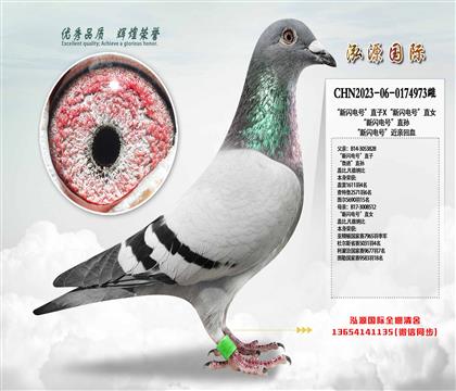 W̖(ho)ֱXW̖(ho)ֱŮ