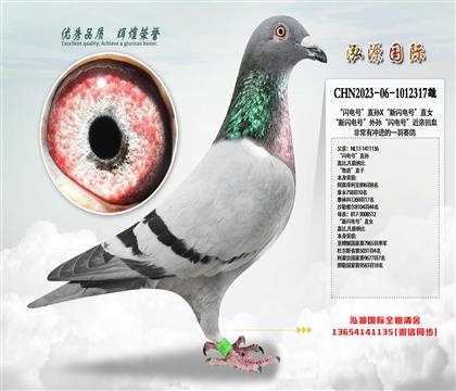 W̖(ho)ֱOXW̖(ho)ֱŮ