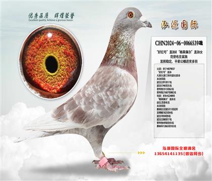 üt̖(ho)ֱOXR堖ֱOŮ