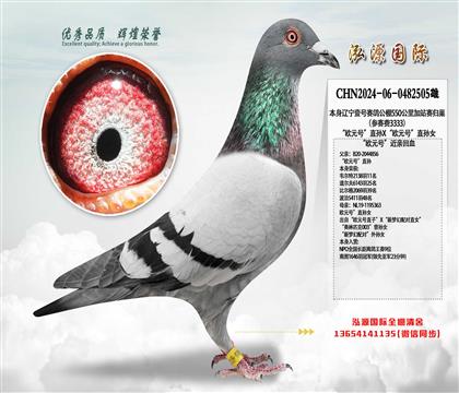 WԪ̖(ho)ֱOXWԪ̖(ho)ֱOŮ