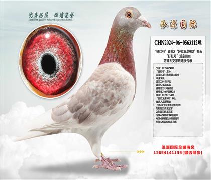 üt̖(ho)ֱOXütֵ992OŮ